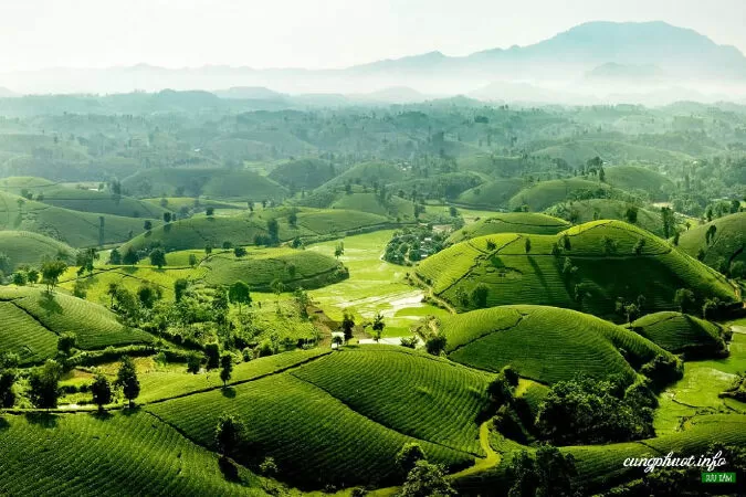 Top 23 bài thơ hay nhất về tỉnh Phú Thọ