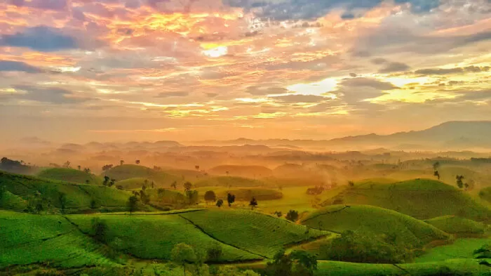 Phú Thọ chiều đông - Cẩm Chi Châu