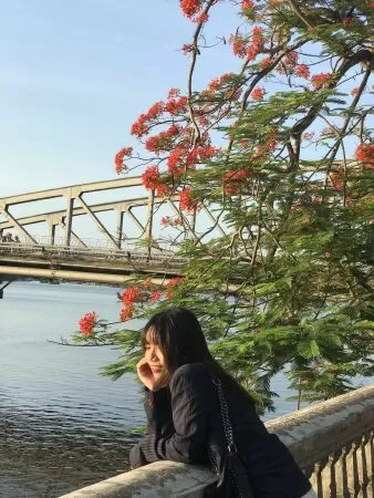 Cầu Trường Tiền