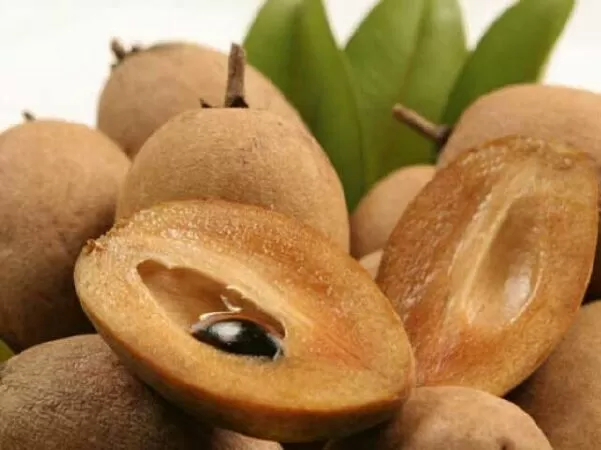 Trái cây Việt