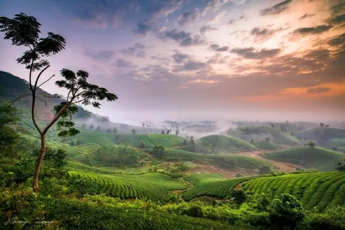 Phú Thọ quê em - Phan Thị Nhàn