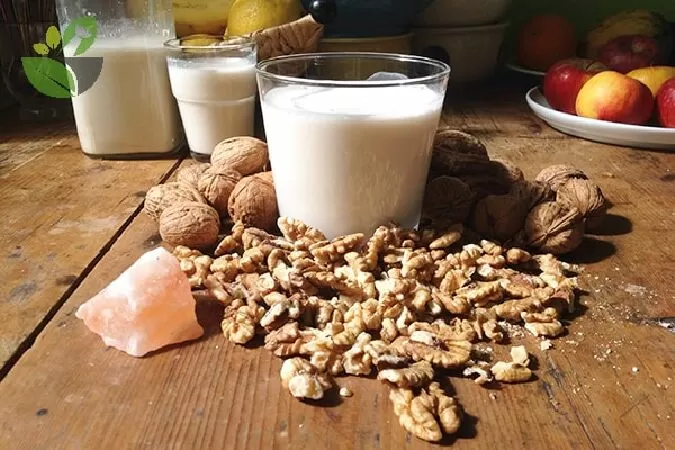 Giúp nhuận tràng, phòng táo bón hiệu quả
