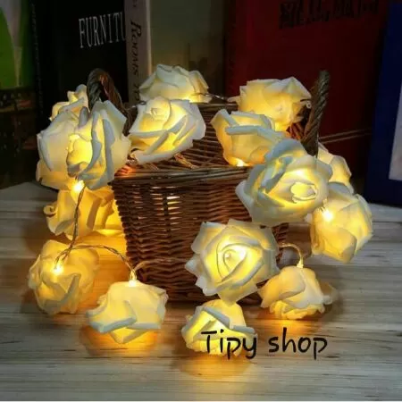 Tipy Shop - shop online bán đèn trang trí siêu hot