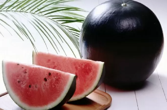 Dưa hấu đông đá