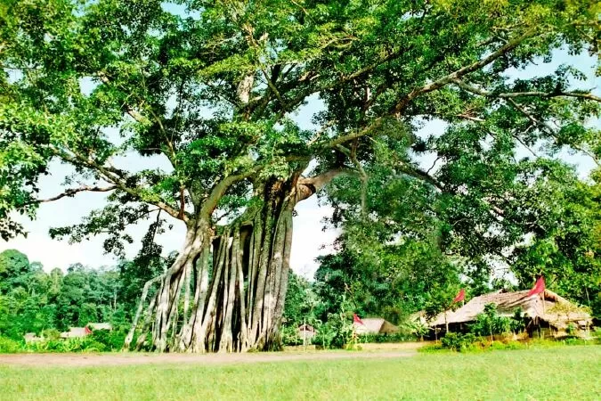 Về với Tuyên Quang - Lê Sáng
