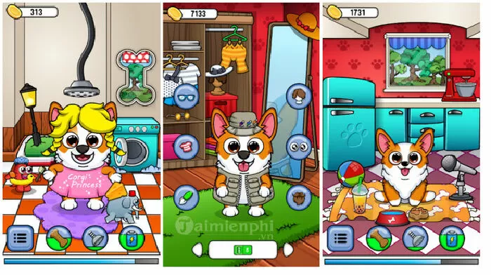 My Corgi