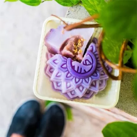 Bánh trung thu rau câu nhân khoai môn