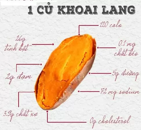 Khoai lang