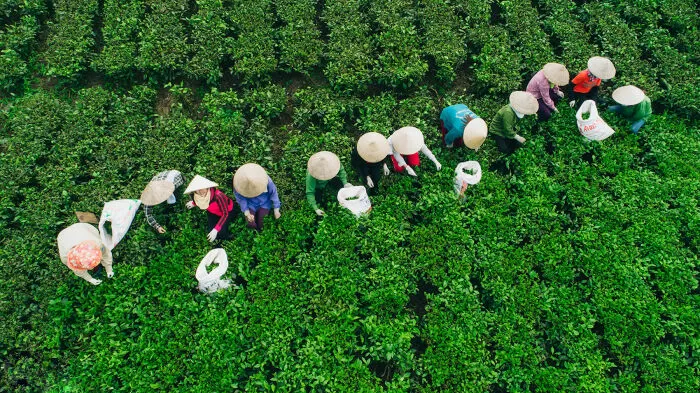Thái Nguyên quê tôi - Lương Đức Bảo