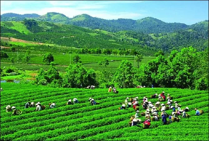 Mời bạn về Thái Nguyên - Ho Nhu