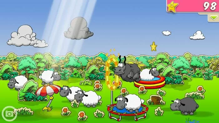 Sheep