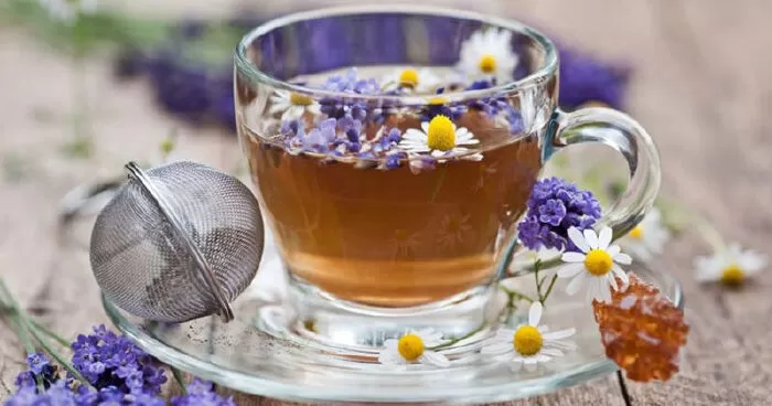 Trà hoa oải hương giảm lo lắng, căng thẳng