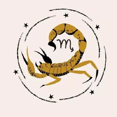 Bọ Cạp