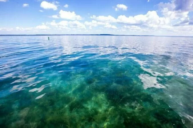 Tam giác Michigan