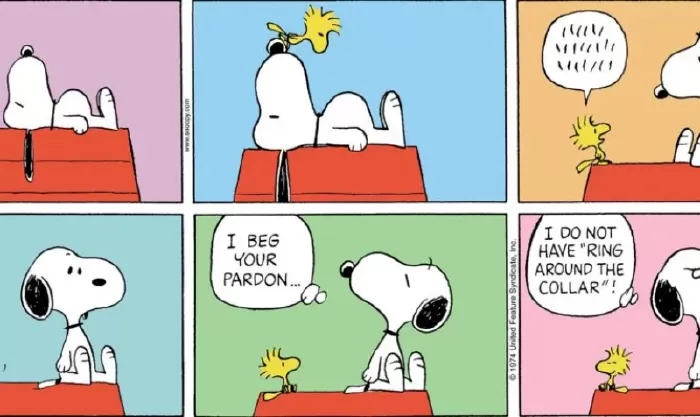 Peanuts