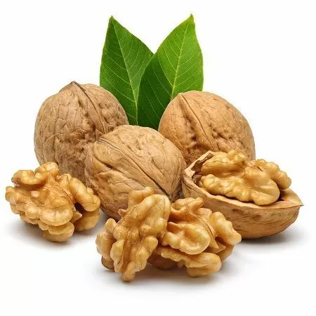 Các loại hạt khô