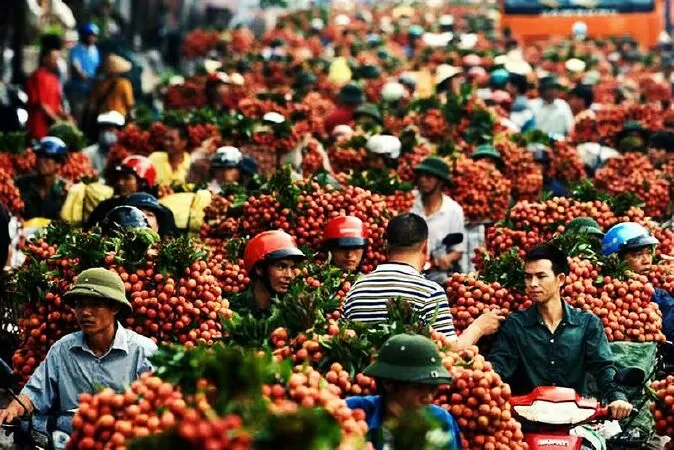 Bắc Giang quê tôi (Sưu tầm)