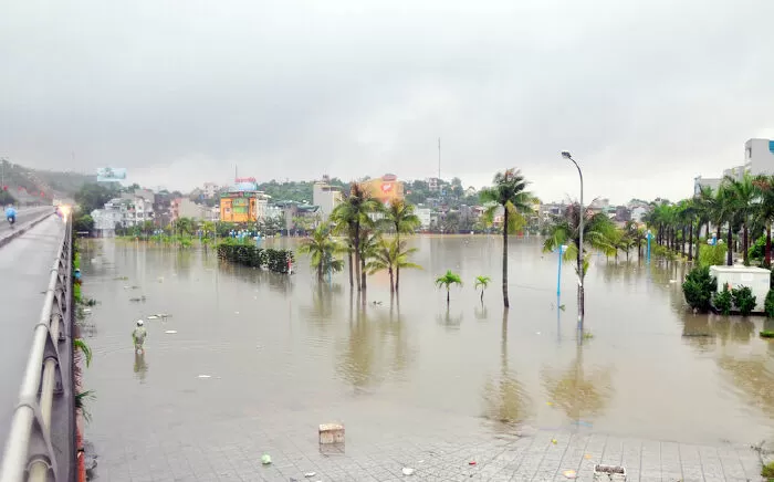 Quảng Ninh ơi - Vũ Phương Linh
