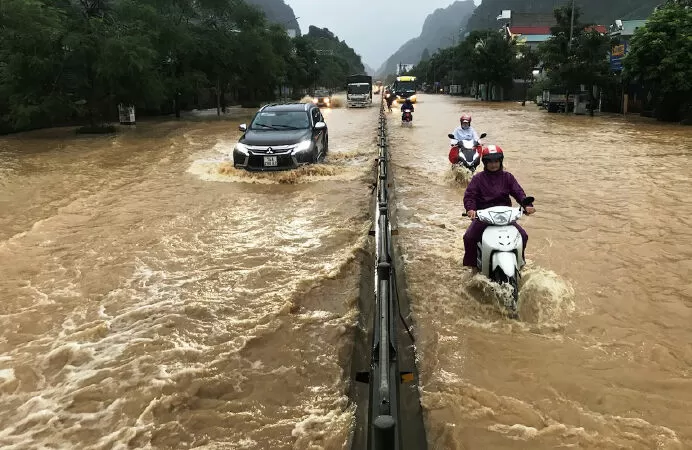 Thành phố và cơn mưa cuối hạ - Vũ Đan Thành