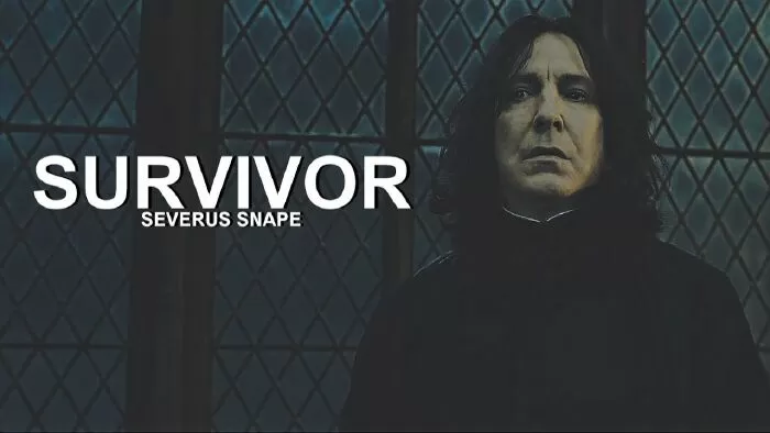 Harry Potter - Trích dẫn 13
