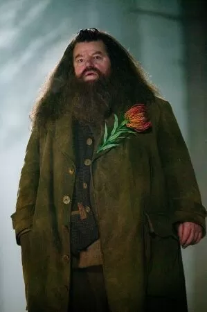 Harry Potter - Trích dẫn 22