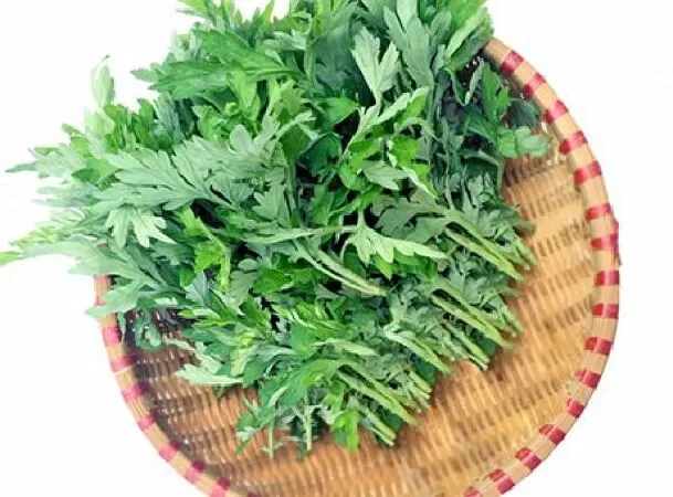 Ngải cứu
