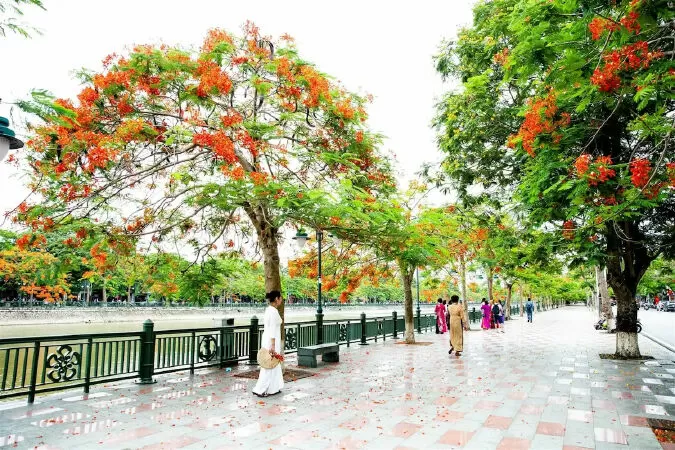 Con lại về đất Cảng - Bình Minh