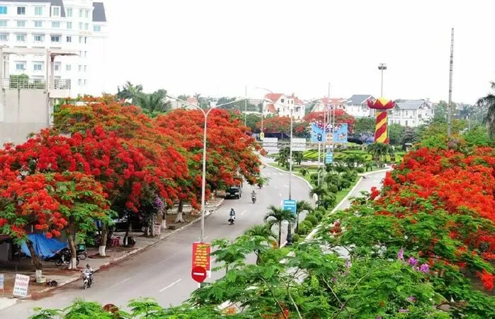 Hải Phòng mùa phượng nở - Trần Vĩnh Lộc