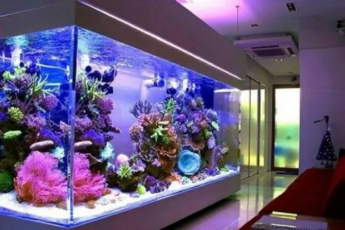 Bể cá