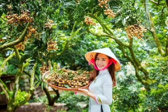 Con gái quê tôi - Phạm Bá Hà