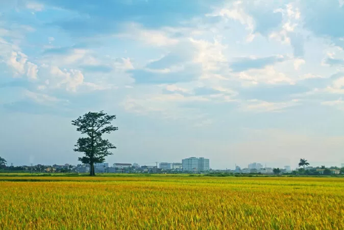 Thái Bình yêu thương - Hồng Chiên