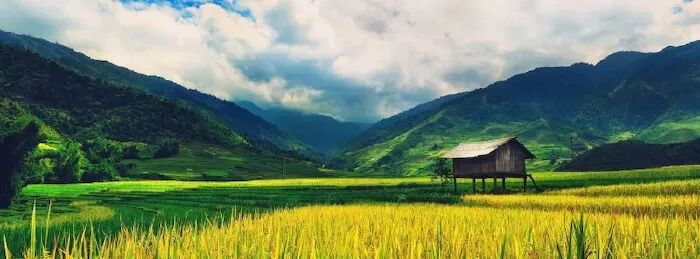 Kỉ niệm Thái Bình - Dam Nguyen