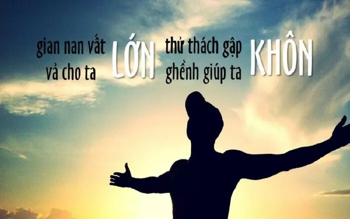 Câu nói số 31