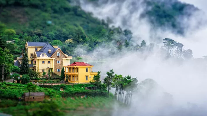 Em về Tam Đảo - Nguyễn Lãm Thắng