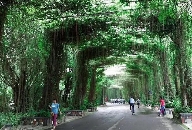 Vĩnh Yên - Nguyễn Bùi Vợi