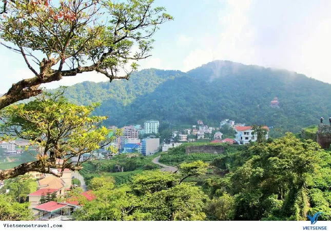 Thu Tam Đảo - Đào Vĩnh