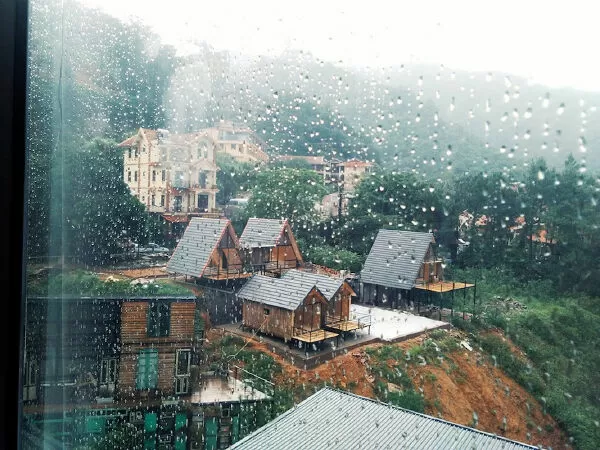 Tam Đảo ngày mưa - Nguyễn Đức Mậu