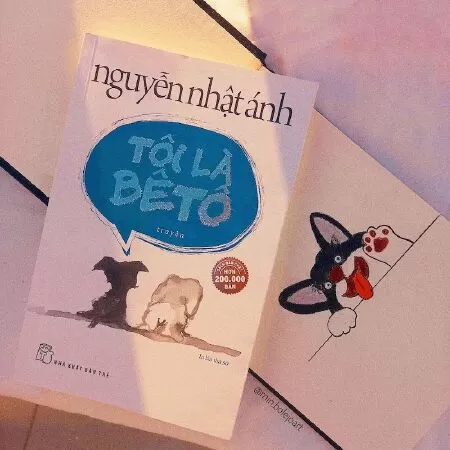 Trích đoạn hay nhất trong tác phẩm của Nguyễn Nhật Ánh - Trích đoạn 12