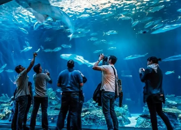 Thủy cung Shedd, Illinois