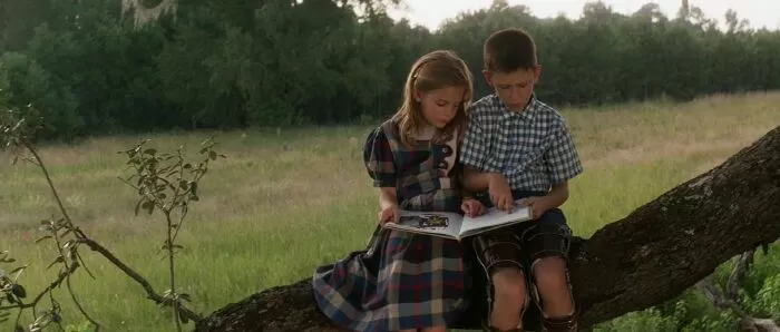 Câu nói hay phim Forrest Gump - Câu nói 6