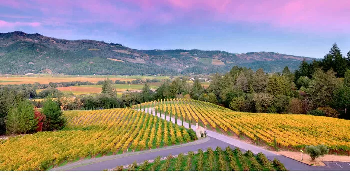 Thung lũng Napa, California