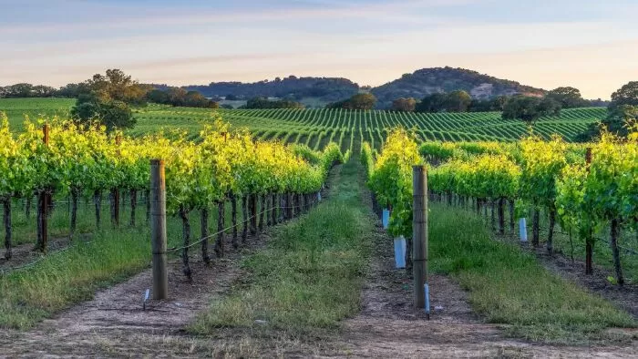 Healdsburg