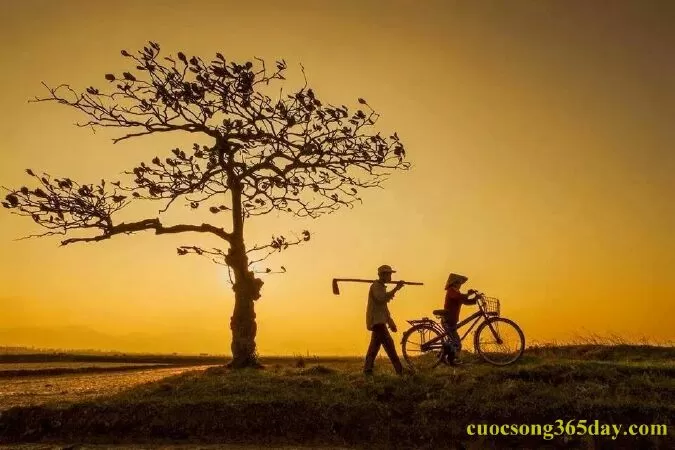Câu nói hay nhất về mùa hè - Câu nói 13