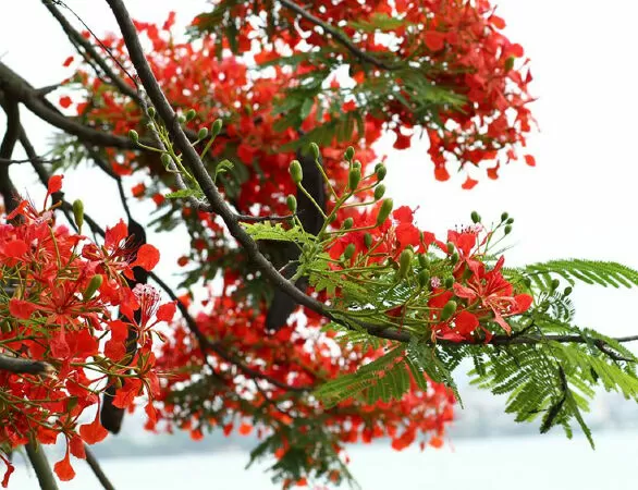 Câu nói hay nhất về mùa hè - Câu nói 20
