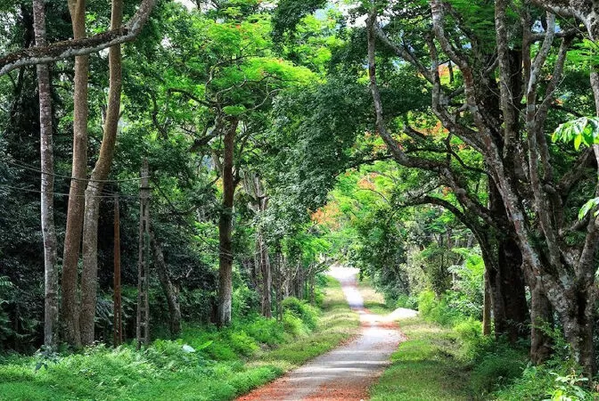 Về Cúc Phương - Vũ Đan Thành