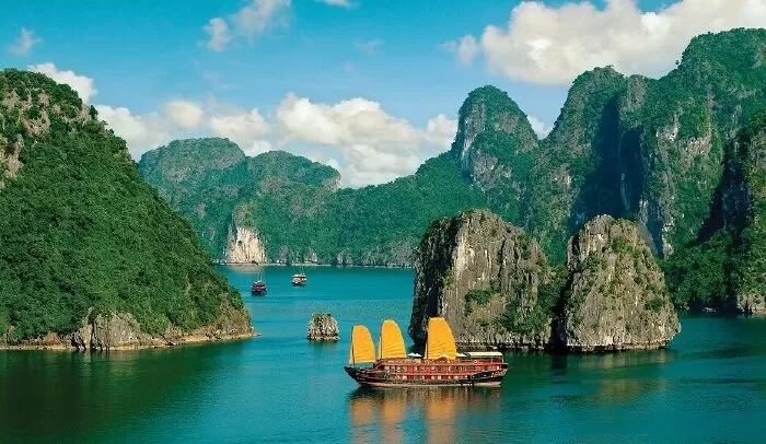 Việt Nam - Tình Yêu Sương Mù & Đồi Xanh