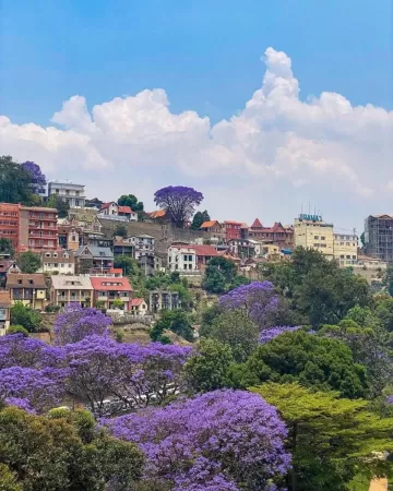 Madagascar - Khám phá đất nước hoang dã