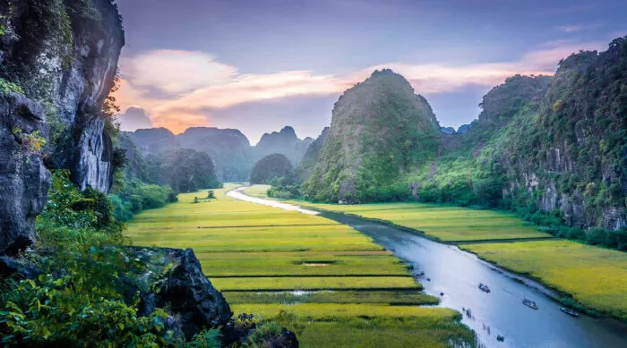 Về quê em nhé - Violet Hoa