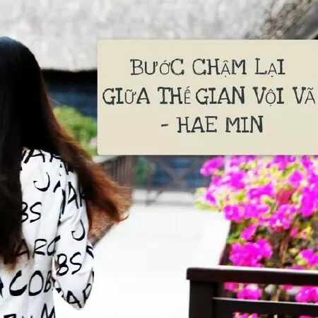 Bước chậm lại giữa thế gian vội vã - Trích dẫn 16