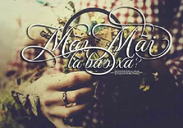 Mãi mãi là bao xa - Trích dẫn 8